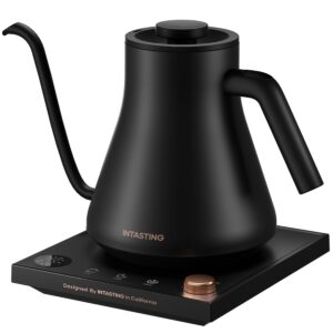 Gooseneck Electric Kettle